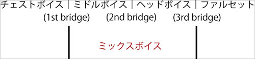 イメージ図。地声と裏声の間はチェストボイス、ミドルボイス、ヘッドボイス、ファルセットといったように
                ４つの声区に分けることができます。そしてミドルボイスとヘッドボイスの領域をミックスボイスといいます。